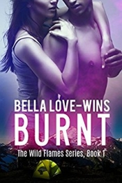 Book Cover for Burnt Book Cover for Burnt
