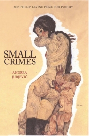 Book Cover for Small Crimes Book Cover for Small Crimes