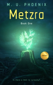 Book Cover for Metzra