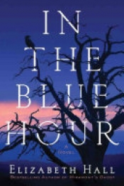 Book Cover for In the Blue Hour Book Cover for In the Blue Hour