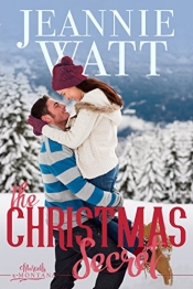 Book Cover for The Christmas Secret Book Cover for The Christmas Secret