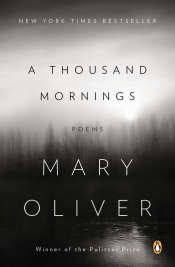 Book Cover for A Thousand Mornings Book Cover for A Thousand Mornings