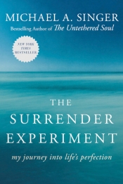 Book Cover for The Surrender Experiment Book Cover for The Surrender Experiment