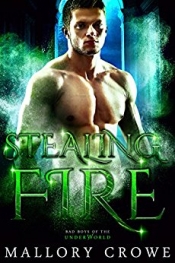 Book Cover for Stealing Fire Book Cover for Stealing Fire