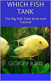 Book Cover for Which Fish Tank