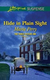 Book Cover for Hide in Plain Sight Book Cover for Hide in Plain Sight