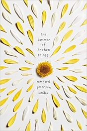 Book Cover for The Summer of Broken Things Book Cover for The Summer of Broken Things
