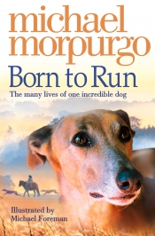 Book Cover for Born to run Book Cover for Born to run