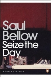 Book Cover for Seize the Day Book Cover for Seize the Day