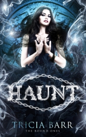 Book Cover for Haunt