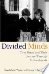 Book Cover for Divided Minds Book Cover for Divided Minds