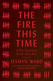 Book Cover for The Fire This Time