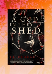 Book Cover for A God in the Shed Book Cover for A God in the Shed