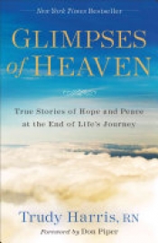 Book Cover for Glimpses of Heaven