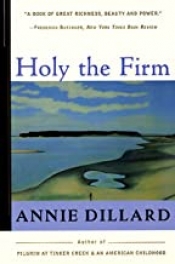 Book Cover for Holy the Firm Book Cover for Holy the Firm