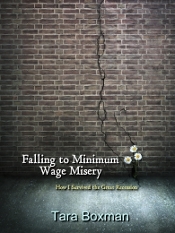 Book Cover for Falling to Minimum Wage Misery