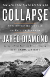 Book Cover for Collapse Book Cover for Collapse