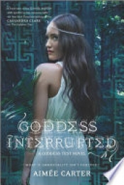Book Cover for Goddess Interrupted Book Cover for Goddess Interrupted
