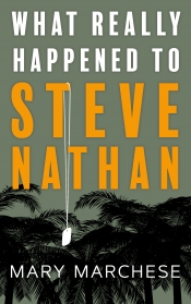 Book Cover for What Really Happened to Steve Nathan Book Cover for What Really Happened to Steve Nathan