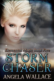 Book Cover for Storm Chaser