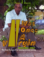 Book Cover for I was once a virgin Book Cover for I was once a virgin