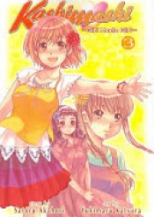 Book Cover for Kashimashi Vol 3 Book Cover for Kashimashi Vol 3