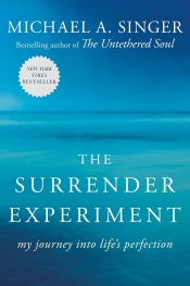 Book Cover for The Surrender Experiment