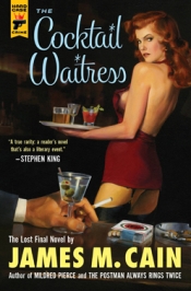 Book Cover for The Cocktail Waitress Book Cover for The Cocktail Waitress