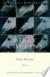 Book Cover for Nine Horses