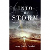 Book Cover for Into the Storm Amy Quick Parrish
