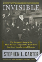 Book Cover for Invisible