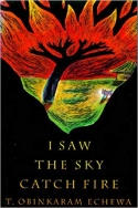 I Saw the Sky Catch Fire