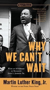Book Cover for Why We Can't Wait
