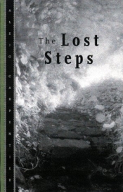 Book Cover for The Lost Steps Book Cover for The Lost Steps
