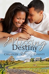 Book Cover for Missing Destiny