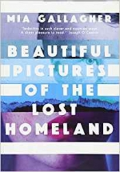 Book Cover for Beautiful Pictures Of The Lost Homeland Book Cover for Beautiful Pictures Of The Lost Homeland