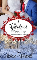 A Christmas Wedding