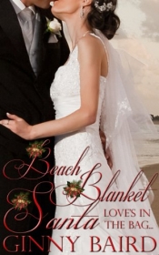 Book Cover for Beach Blanket Santa Book Cover for Beach Blanket Santa