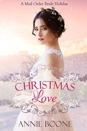 Book Cover for Christmas Love Book Cover for Christmas Love