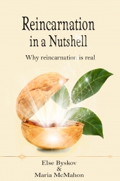 Book Cover for Reincarnation in a Nutshell