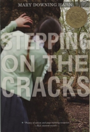 Book Cover for Stepping on the Cracks