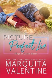 Book Cover for Picture Perfect Lie Book Cover for Picture Perfect Lie