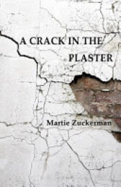 Book Cover for A Crack In The Plaster