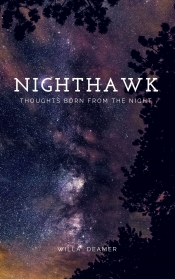 Book Cover for Nighthawk