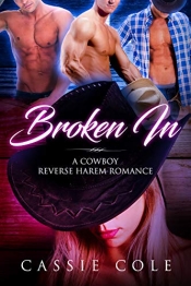 Book Cover for Broken In Book Cover for Broken In
