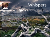 Book Cover for Whispers in the wind