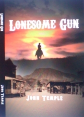 Book Cover for The Lonesome Gun