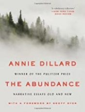 Book Cover for The Abundance Book Cover for The Abundance