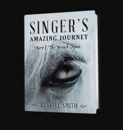 Book Cover for Singers Amazing Journey Book Cover for Singers Amazing Journey