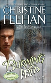 Book Cover for Burning Wild